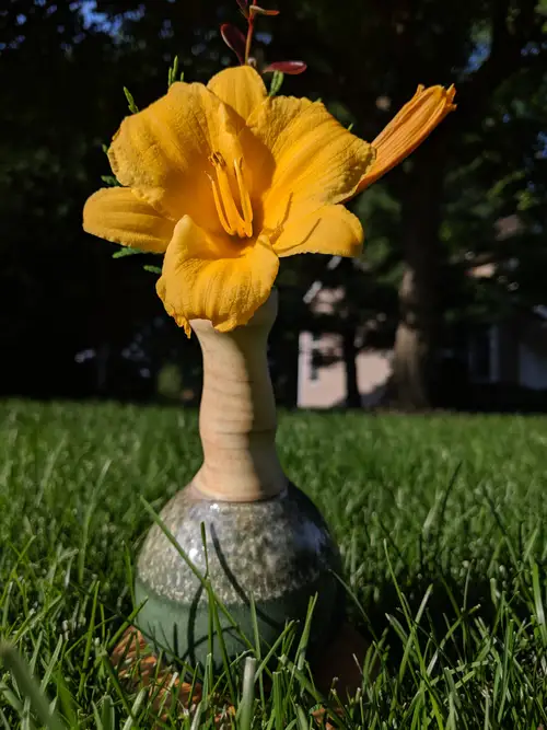 Handmade ceramic pottery: Daylily Vase Garden Close Up
