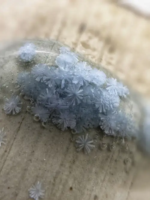 Handmade ceramic pottery: Frosty Glaze Crystals 2