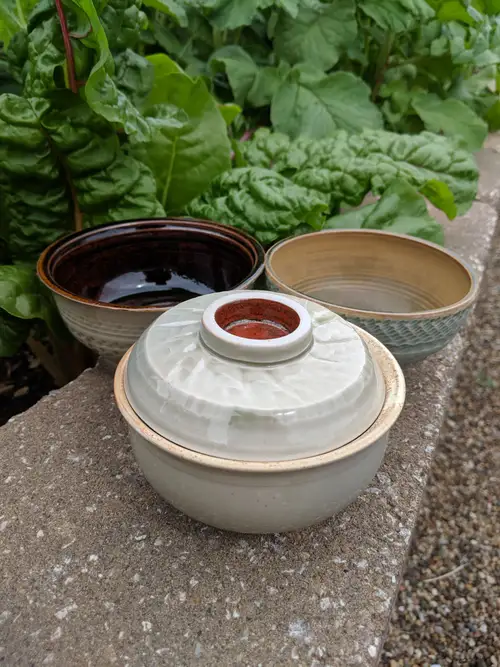 Handmade ceramic pottery: Gaiwan and 2 Bowls in the Wild