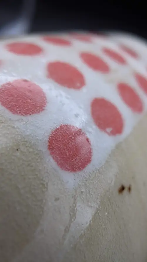 Handmade ceramic pottery: Green Yarn Bowl Interior