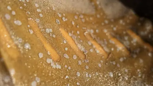 Handmade ceramic pottery: Microcrystaline Funk 2